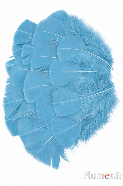 Kalkoen - 6-8 cm - indisch blauw